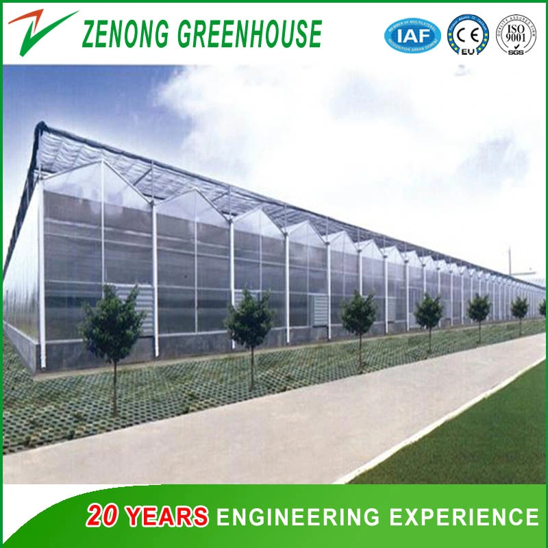 Agricultural/Commercial Double Layer Hollow Plastic PC Greenhouse with Cooling Pad and Fan System for Cooling Down