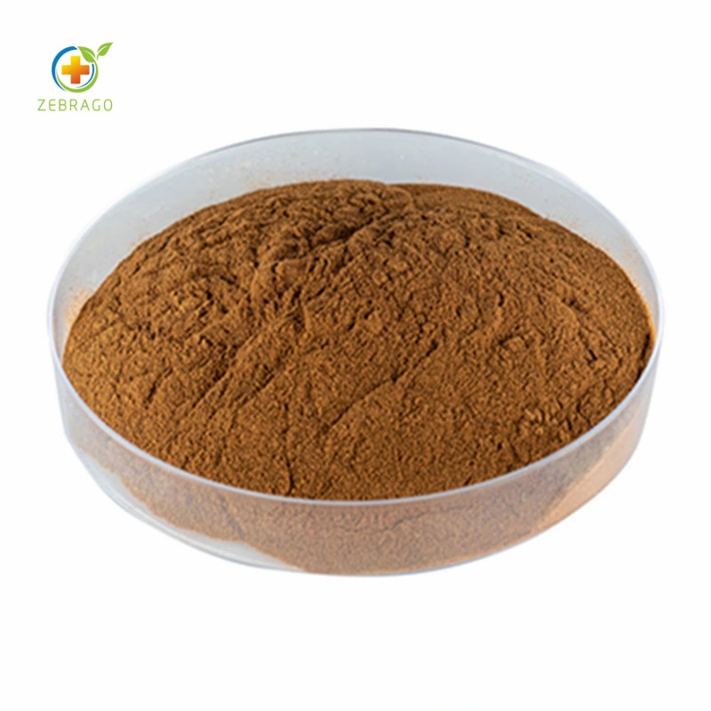 100% Natural Olive Leaf Extract Cleupin 19% ~40%