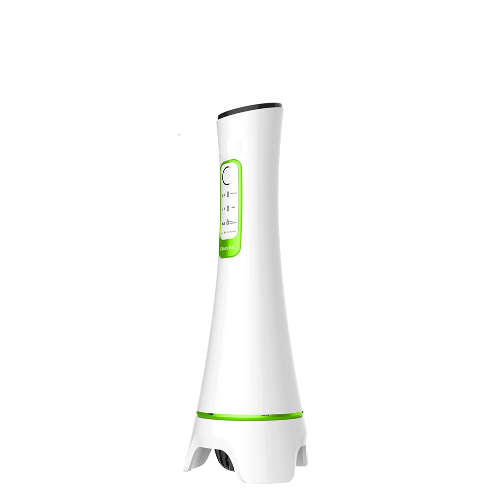 Portable Rechargeable Ozone Disinfection Vegetable and Fruit Purifier