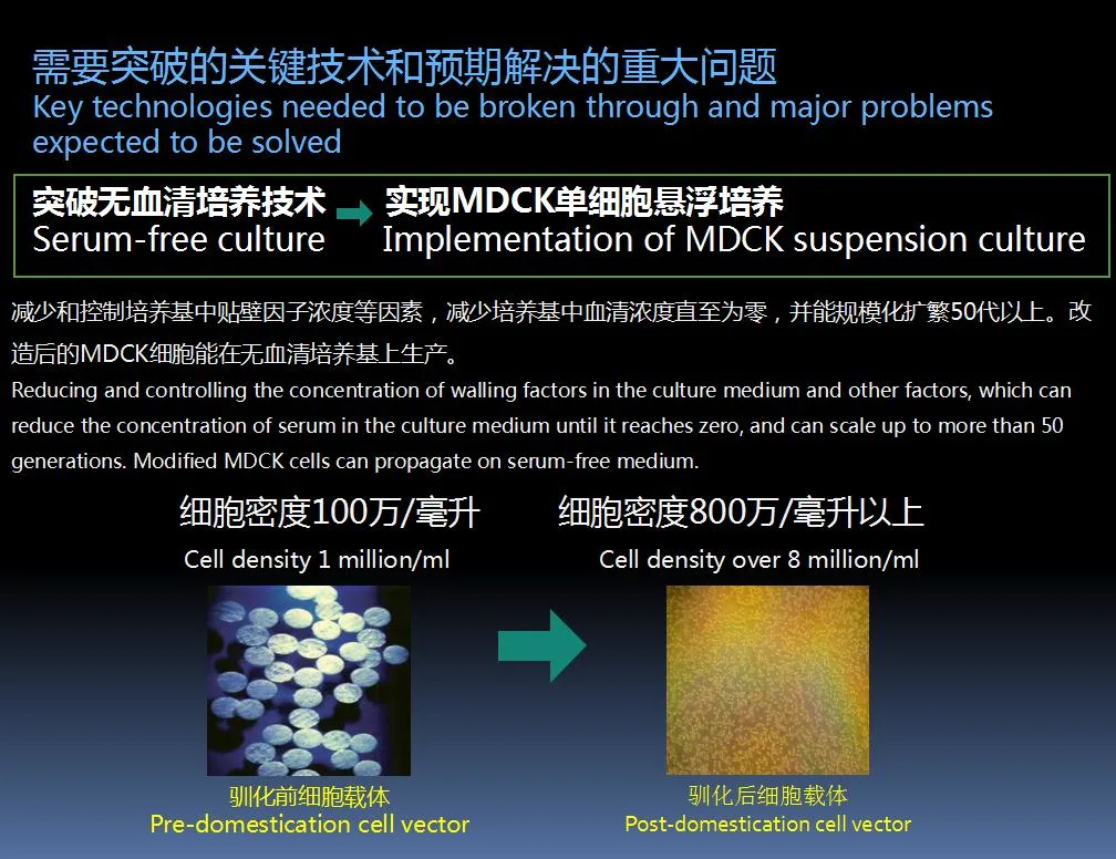 Bioreactor Equipment to Produce Live Chicken Infectious Bronchitis Vaccine (H120 strain) Technology