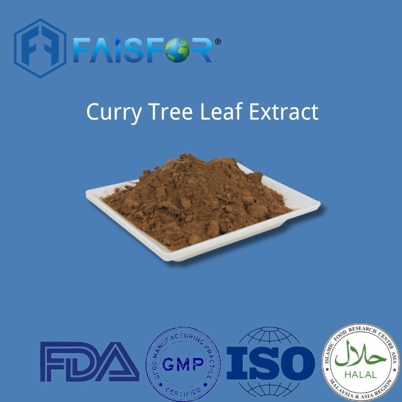 Taste of Tradition: Nourish with Premium Curry Tree Leaf Extract Powder