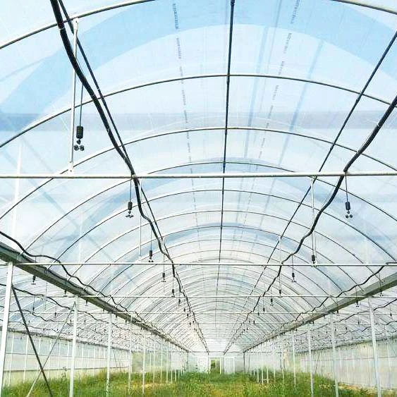 Agricultura Multi-Span Arch plástico Film estufa Strawberry estufa