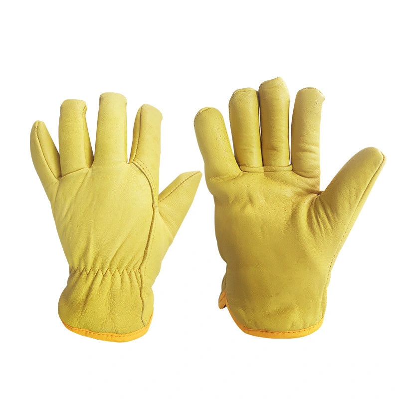Tear Resistance Economy Grade Goatskin Leather Drivers Gloves