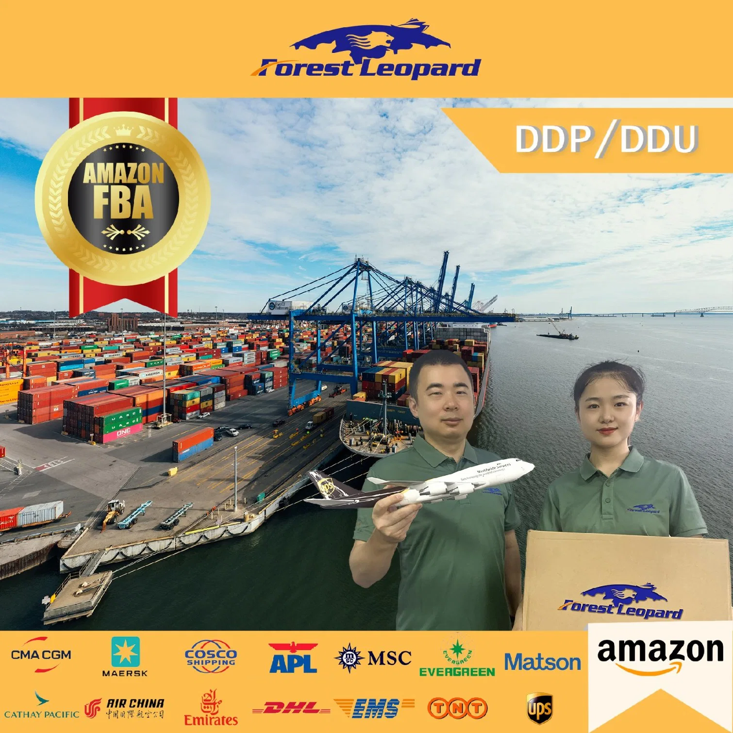 China Top 10 International Logistics Company Professional Freight Forwarder Shipping Service From China to USA DDP