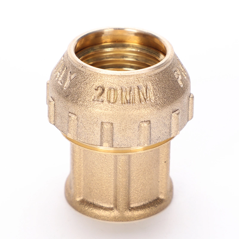 Custom Pumping PP Compression Brass Compression Forging PE Brass Pipe Connector Fitting