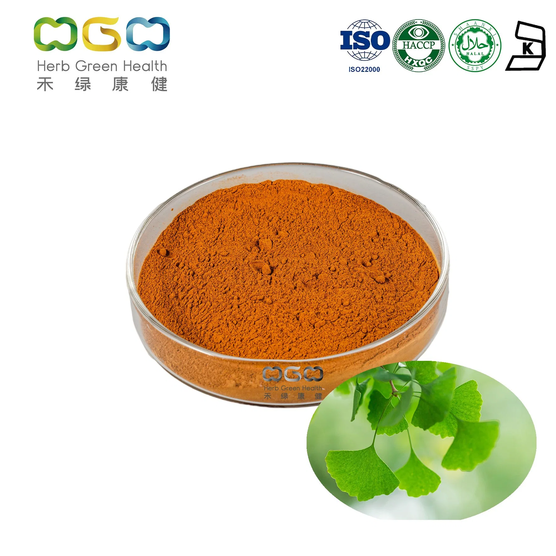 Blood Circulation Improving Plant Extract Ginkgo Biloba Extract