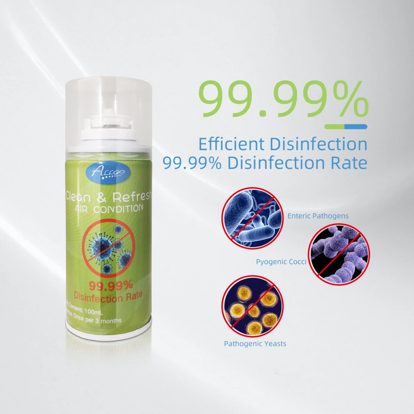 Aerosol Deodorant Disinfectant with Reach Efficacy Test Report