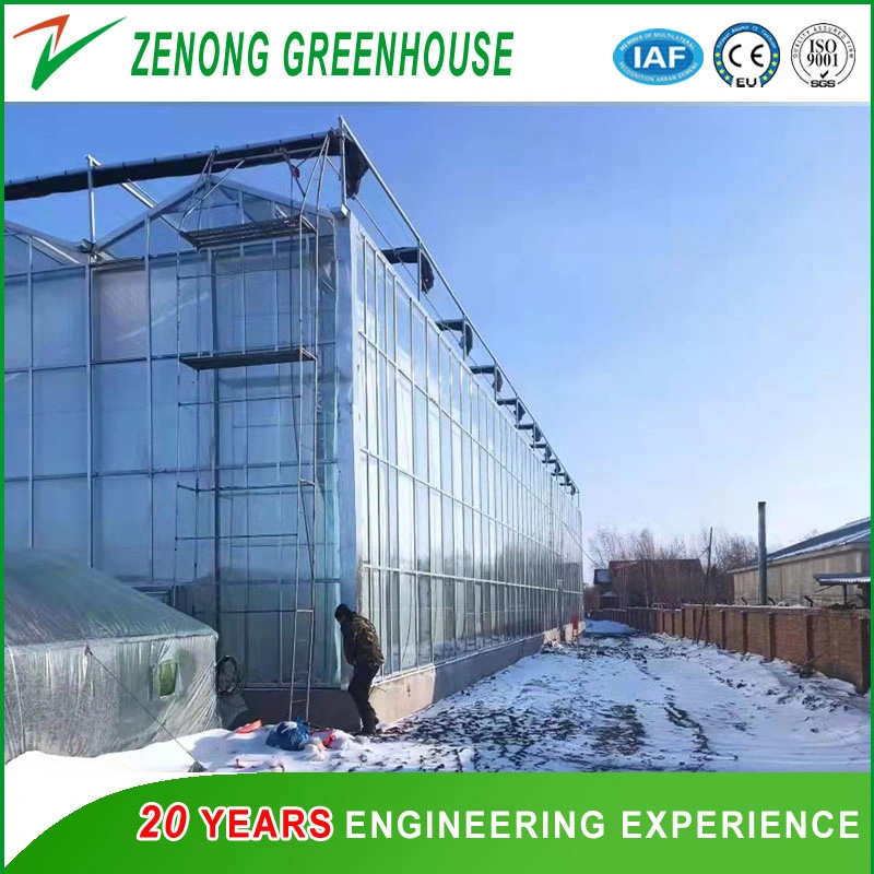 Multi-Span Double Layer Hollow Glass Green House with Four Side Insulation Quilt System for Warm Keeping for Winter Tomato/Cucumber/Restaurant/Hydroponics