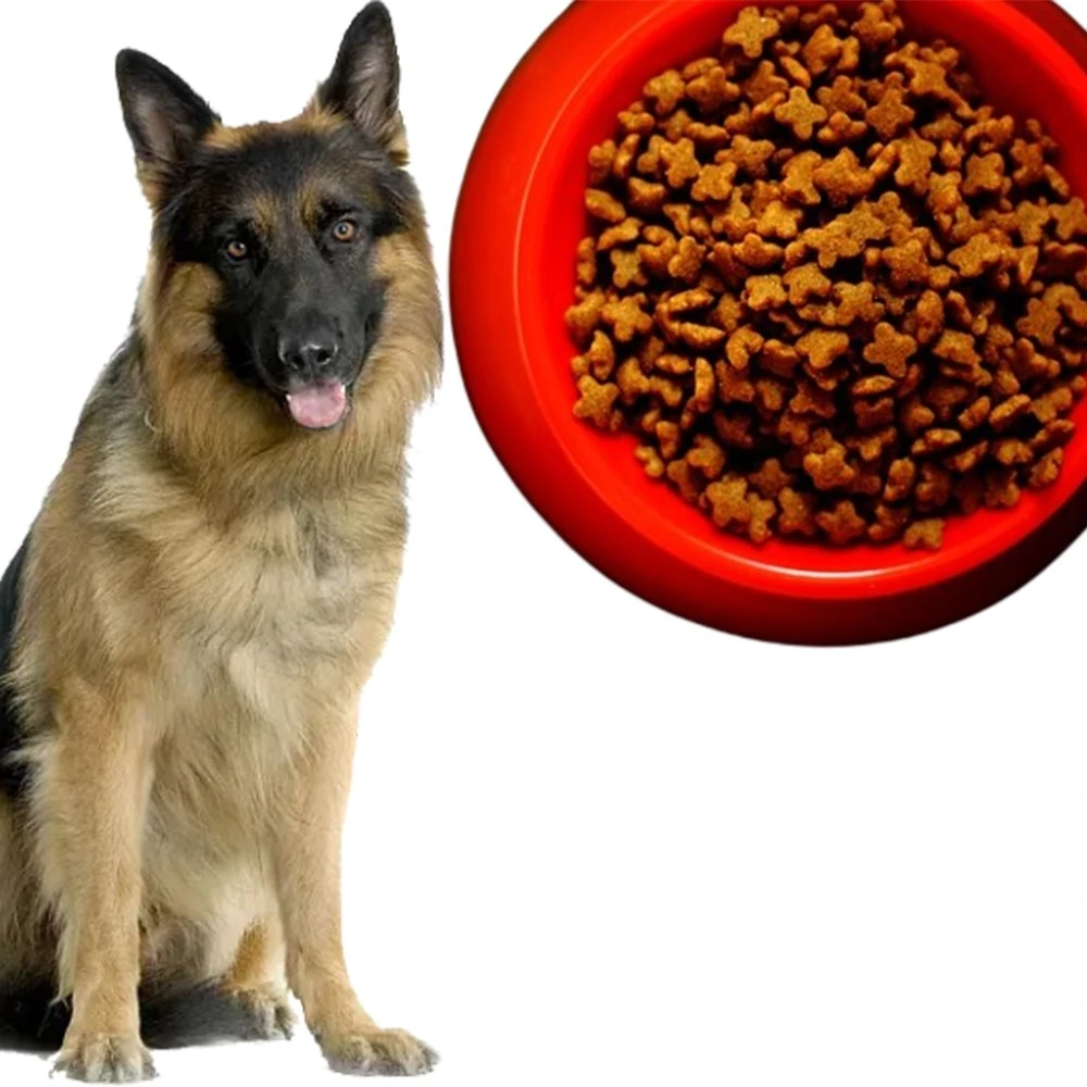 Improve Immune Systems Organic Palatability Pet Food Dry Dog Food