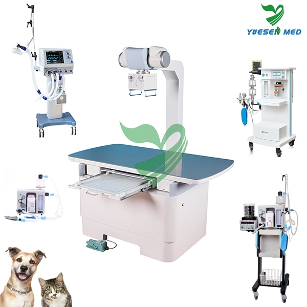 Veterinary Equipment One-Stop Shopping Medical Veterinary Clinic Surgical Instrument