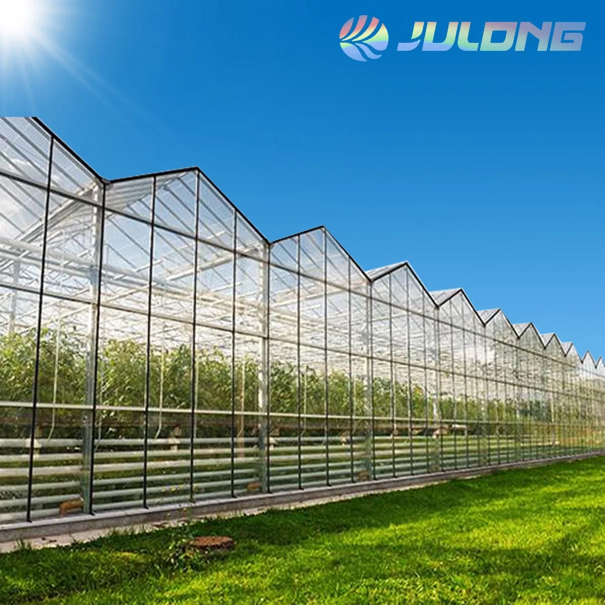 Low Cost Polycarbonate Sheet PC Panel Hydroponic Systems Greenhouse for Agricultural