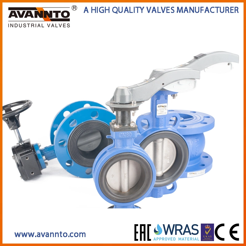 Double Flange Butterfly Valve with Gearbox Pn6/Pn10/Pn16