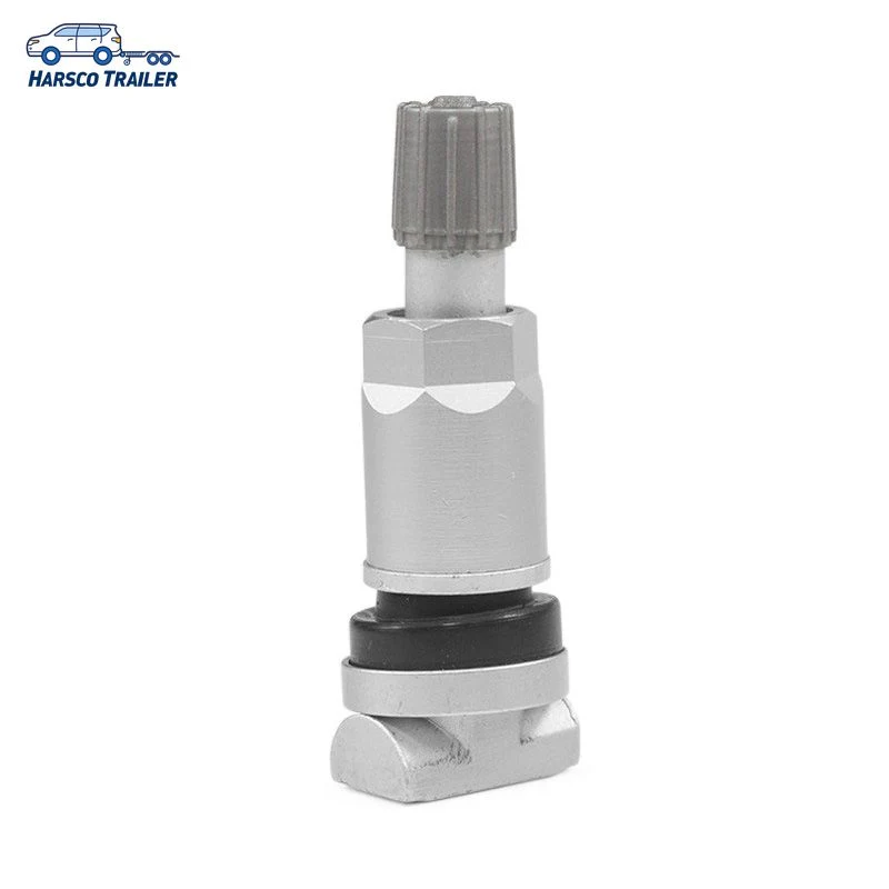 TPMS-13 Stainless Steel TPMS Tire Pressure Sensor Valves