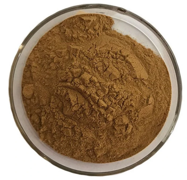 30% Polysaccharide Maitake Mushroom Extract Grifola Frondosa Extract Powder