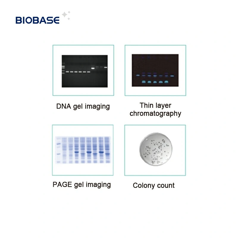 Sistema de documentación de gel totalmente automático de la pantalla táctil de BioBase China