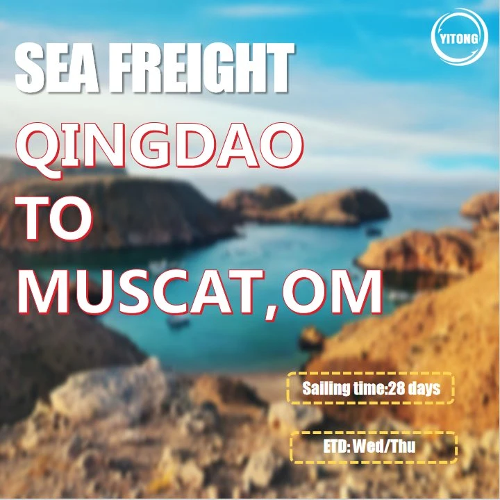 International Shipping by Sea From Shenzhen to Muscat Oman