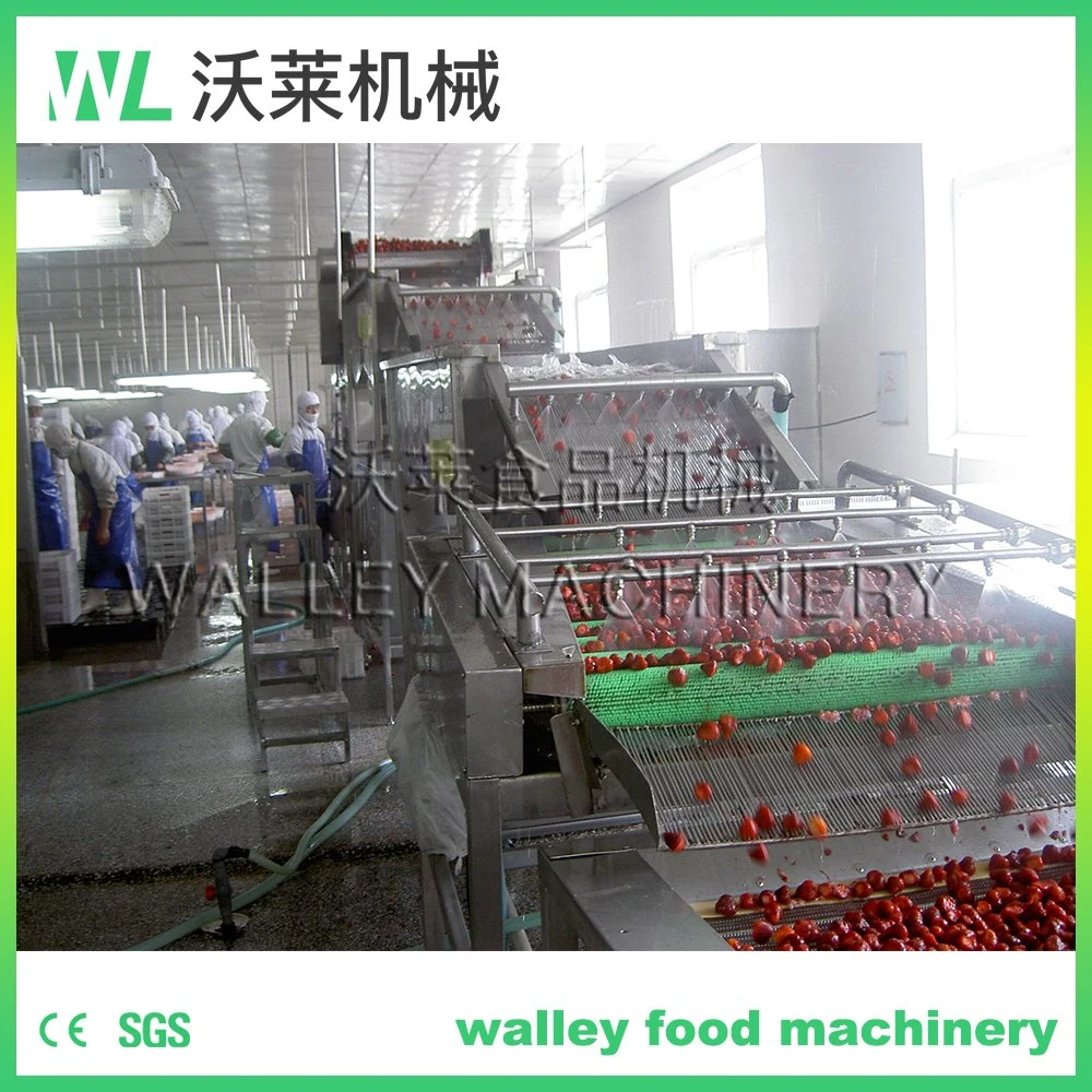 High Rebuy China Agricultural Industry Roller Brush Cleaning Machine