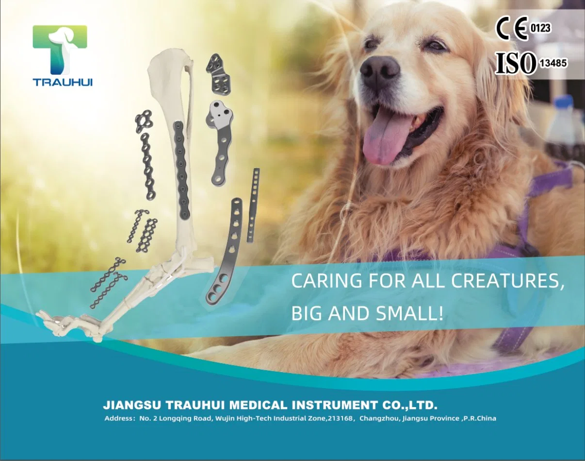 1.5 placas condilar para instrumentos veterinários