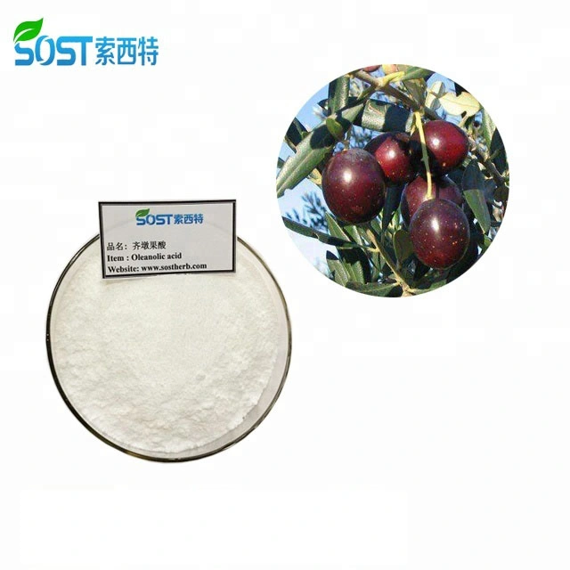 Chinese Herbal Extract 40% Oleanolic Acid Powder