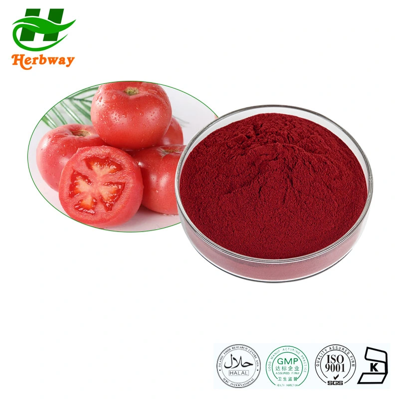 Herbway Natural Plant Extract tomate fruta extracto licopene 98% Anti-envelhecimento E melhorando o extrato de fruta de tomate de imunidade