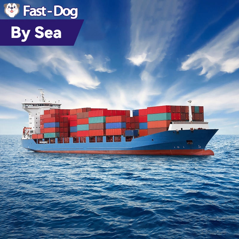 Reasonable Price Door to Door DDP Agent Sea Shipping LCL China to Germany Italy North America