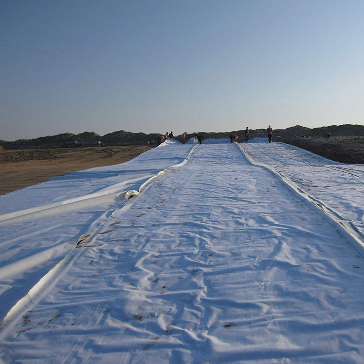 Non-Woven Geotextile Manufacturer Road Fabric Polypropylene Fabric for Road in Malaysia
