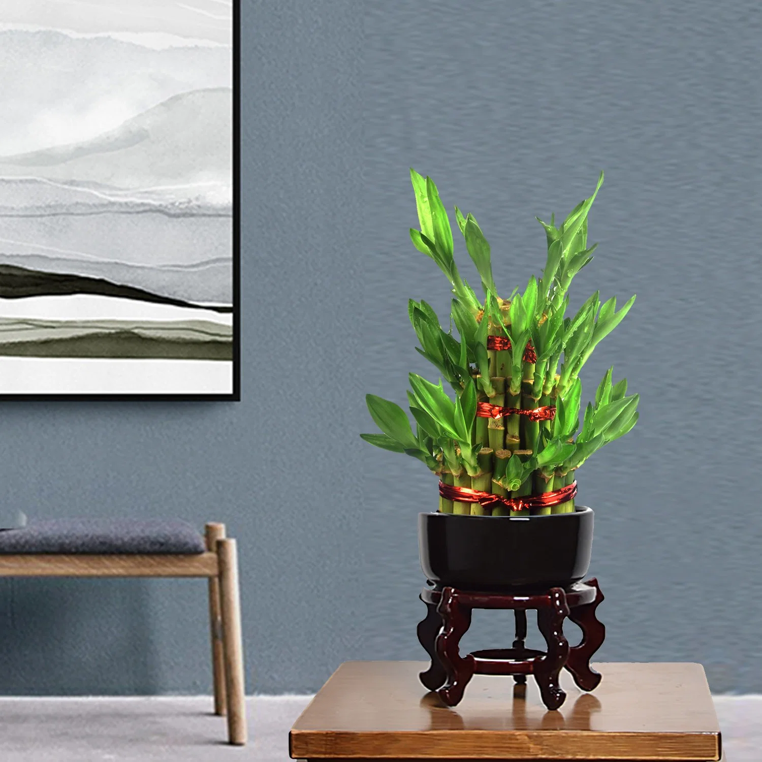 Зеленый S3 в корпусе Tower Dracaena Sanderiana Lucky Bamboo Завод детских