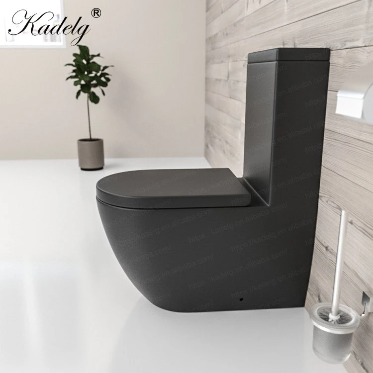 Watermark Toilet Porcelain Bathroom Toilet Matte Black Two Piece Toilet