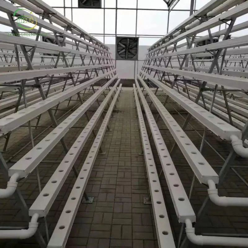 Vertical Type Complete Hydroponics Growing System for Soiless Agriculture Vegetable/Fruit