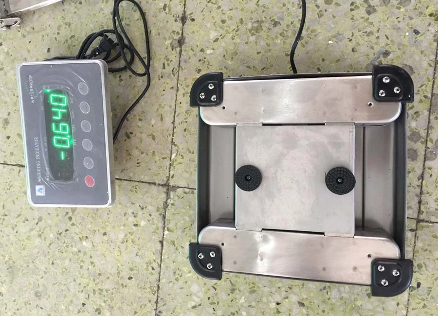 Stainless Steel Weighing Bench Waterproof Scales