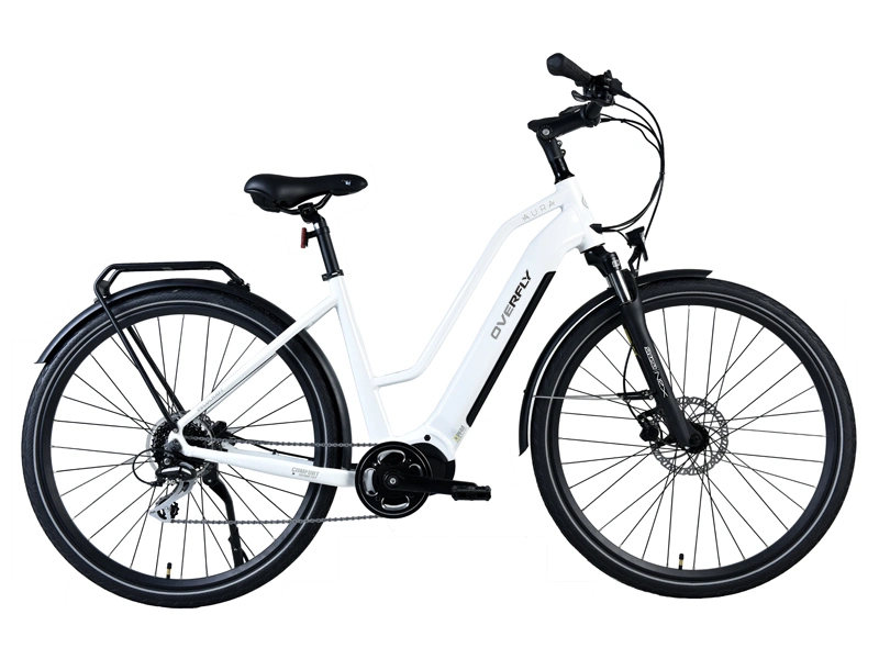 China Wholesale/Supplier 2023 New Arrival Step-Thru Ebike Electric City Bike Female Bike