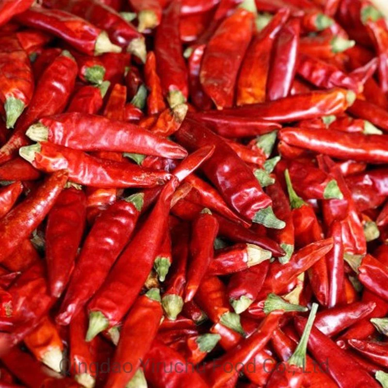 Chinese Dry Chaotian Chilli / Bullet Chili Cayenne Pepper