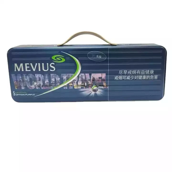 Wholesale High Quality Cigarette Box with Plastic Handle Gift Tin Box