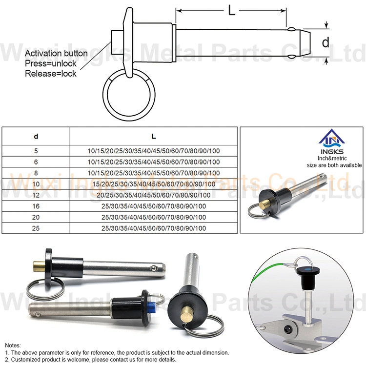 2022 Popular 18-8 Steel Button Handle Quick Release Pin Ball Locking Pin with Rings