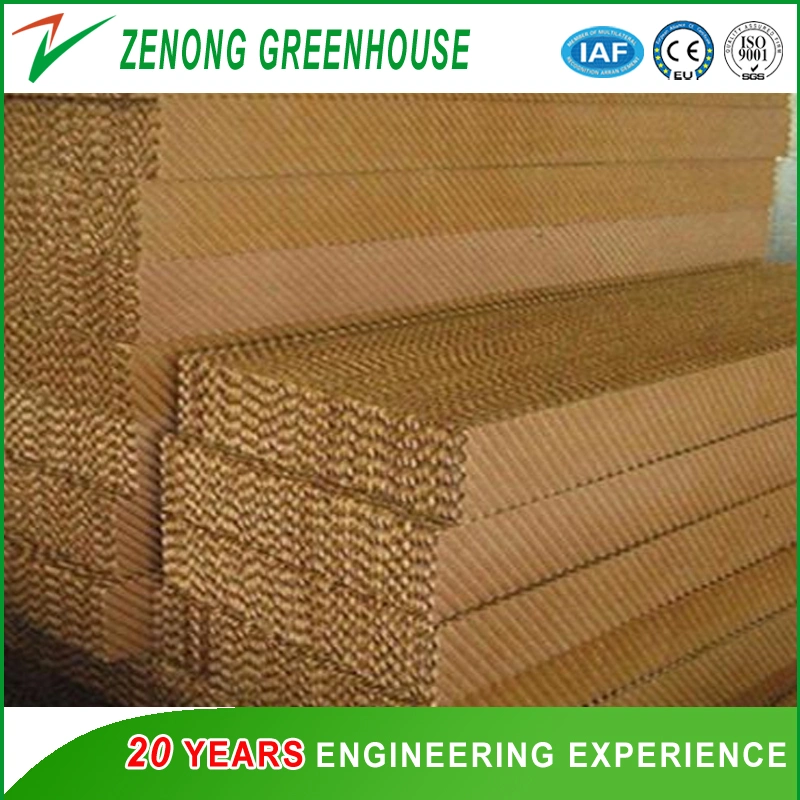 Corrugated Paper Wet Pad for Poultry/Agriculture Farming/Greenhouse Air Cooling Down