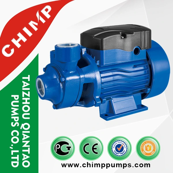 Chimp 0,5HP selbstansaugende Wasserpumpe CE-Zulassung (QB60)