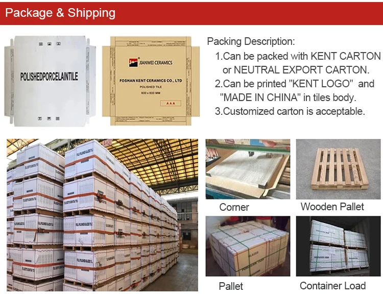 La Chine usine Grand conseil du sol et mur de fond carrelage de marbre complet du corps