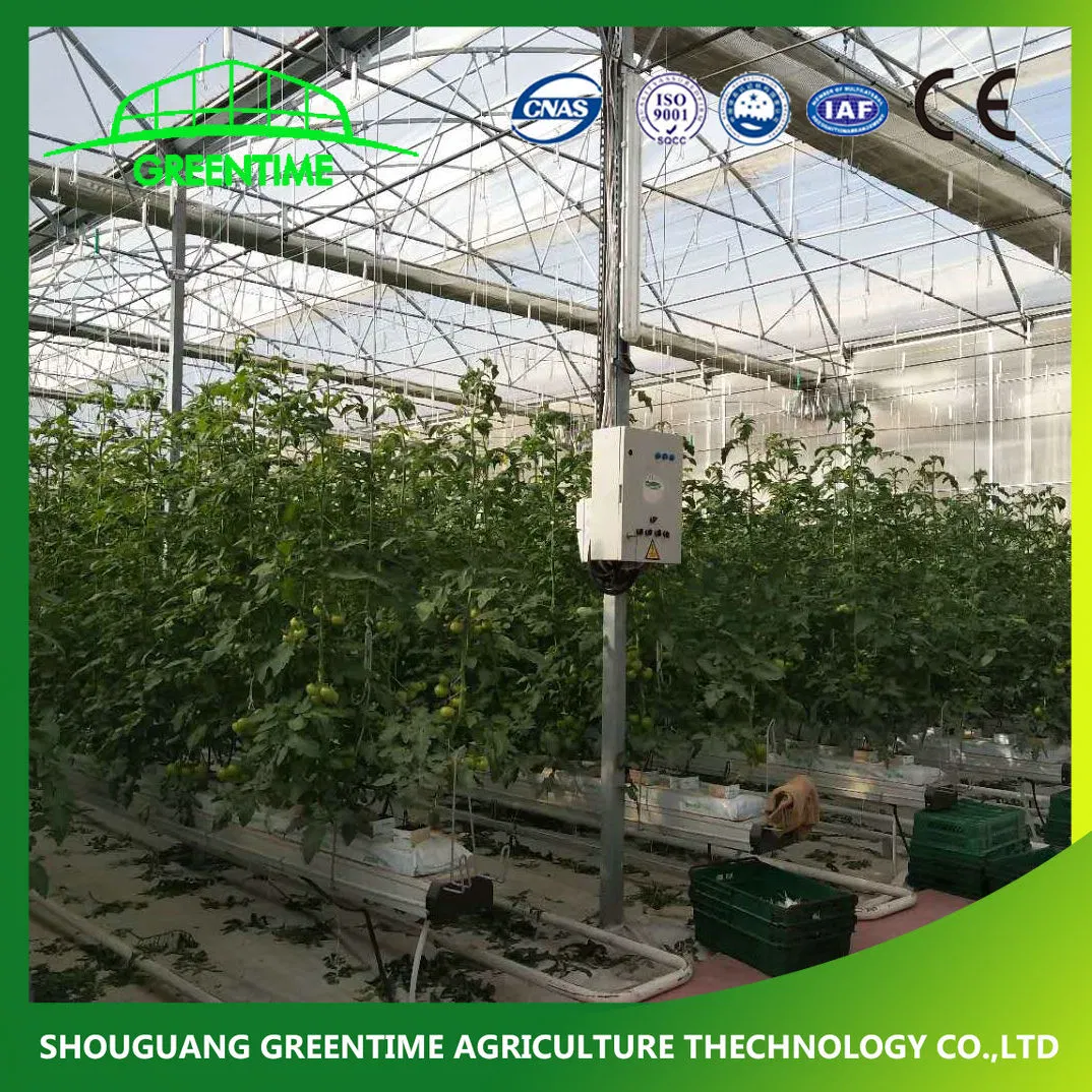 Cheap Multi-Span/Single Span Commercial Tunnel Plastic Film Glass Polycarbonate Farm Agriculture Greenhouse with Seedbed Hydroponic for Tomato Strawberry