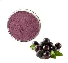 Bio Natürliche Acai Berry Frucht Reine Acai Berry Extrakt Pulver Anthocyanidine Konzentrat Saft Pulver