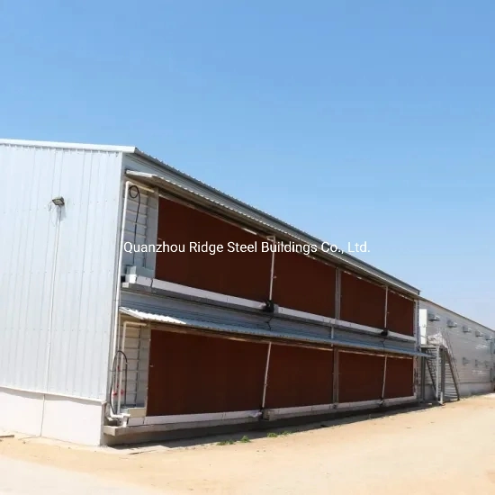 Prefabricated Steel Structure Frame Egg Chicken House Design for Layers Poultry House