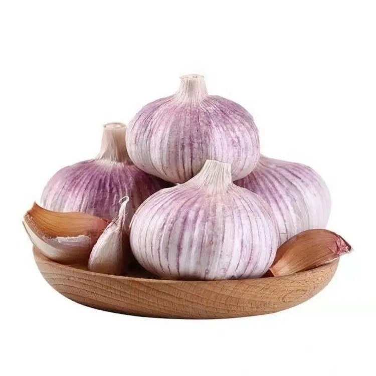 China Super White Garlic Price 2022 New Crop Fresh Garlic 10kg