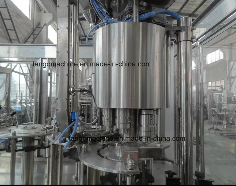 Automatic Pet Glass Bottle Washing Filling Screw Capping Machine