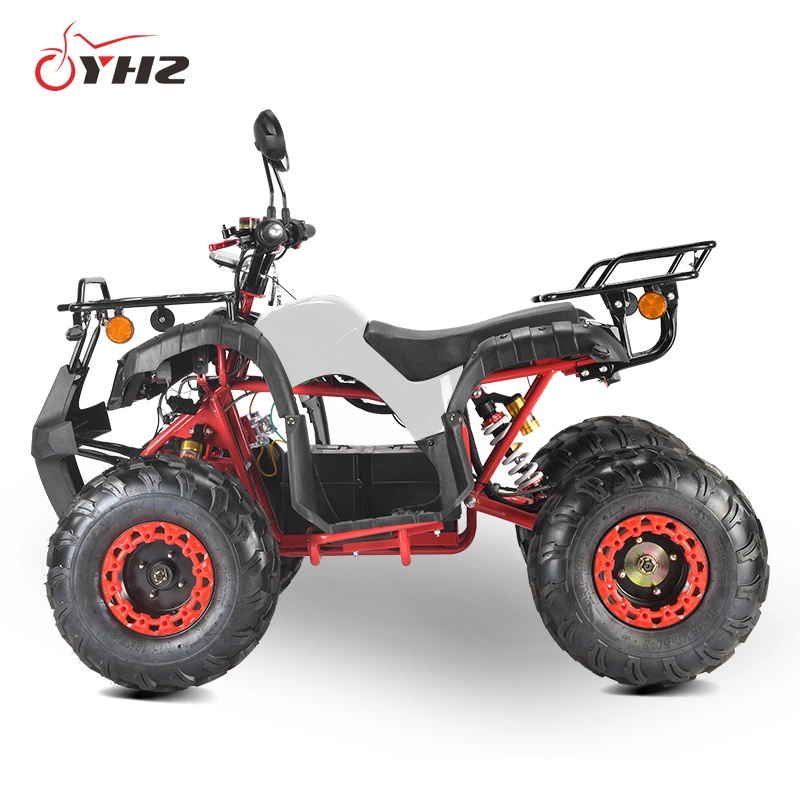 off Road Beach Vehicle 2000W Adult Electric ATV EEC