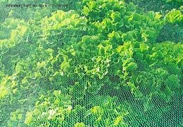 Wholesale/Suppliergarden Netting, Ultra Fine Garden Mesh Netting Greenhouse Protection Net, Reusable Plant Covers for Protect Vegetables Fruits Plant Flower Crop Screen