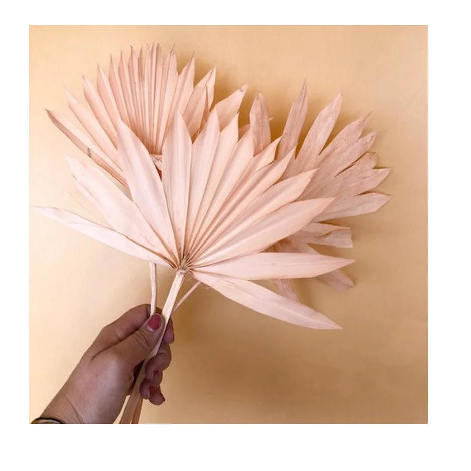 Wholesale/Supplier Artificial Leaves Artificial Natural Processed Dried Palm Leaves Dry Fan Leaves for Wedding Flower Arrangement