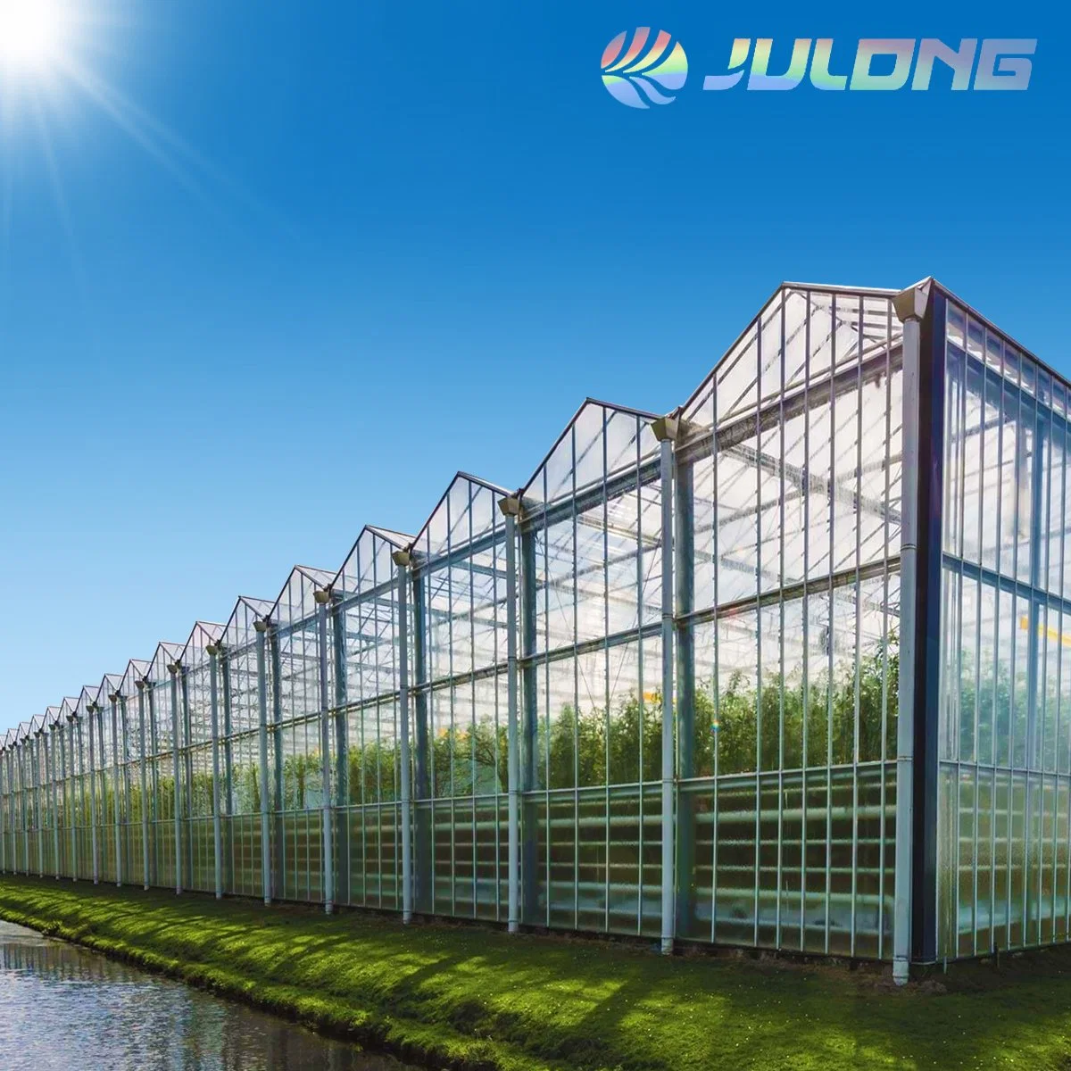 Strong Structure New Design Glass Greenhouse