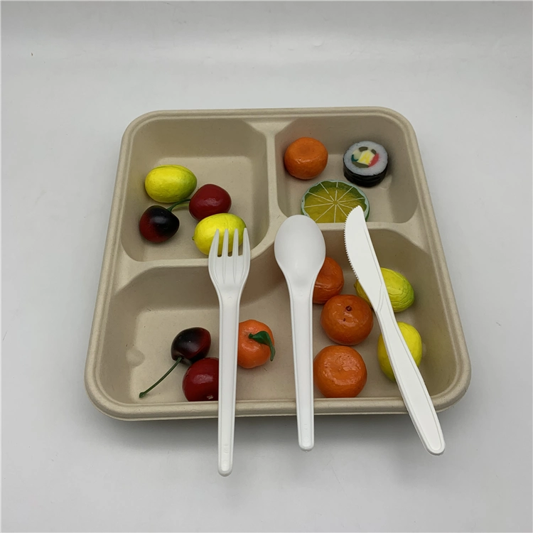 Tableware Set 3 Compartments Bagasse Food Tray with Lid