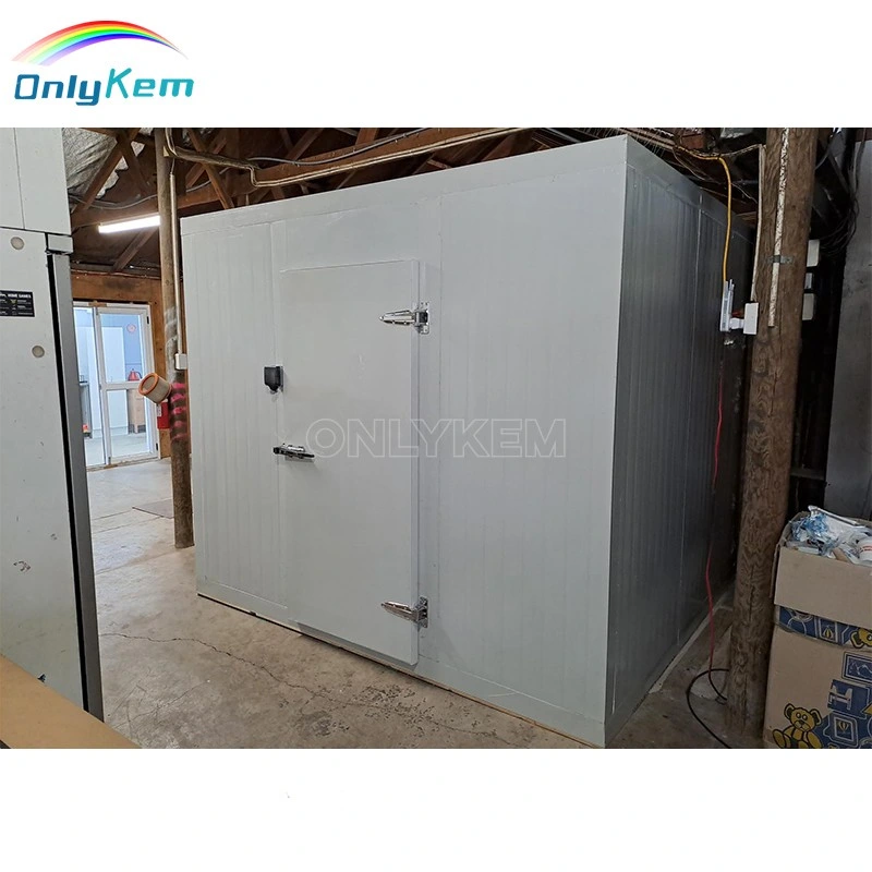 Portable Walk-in Cold Rooms for Kitchen Freezer Room Cooling Fridge Freezer Cold Storage Room for Food 10*10*10FT