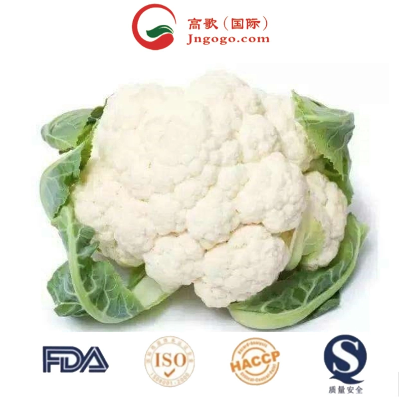 Cauliflower Wholesale/Supplier/Fresh Cauliflower From Vietnam