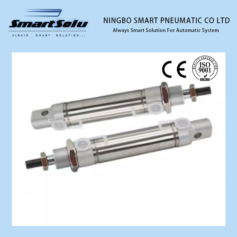 Customized ISO6432 Dsnu Airtac Pneumatic Cylinder Mi Stainless Steel Air Mini Cylinder